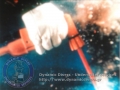 dynamic_divers00011